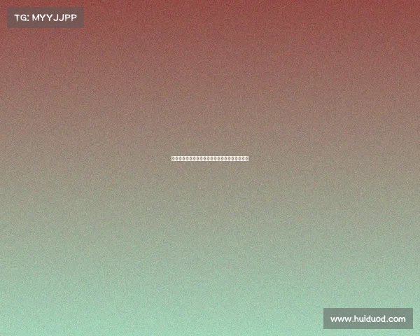 综合格斗赛事精彩大盘点哪个最值得观赏深度评测